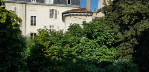 nancy 54 hypercentre rénovation appartement